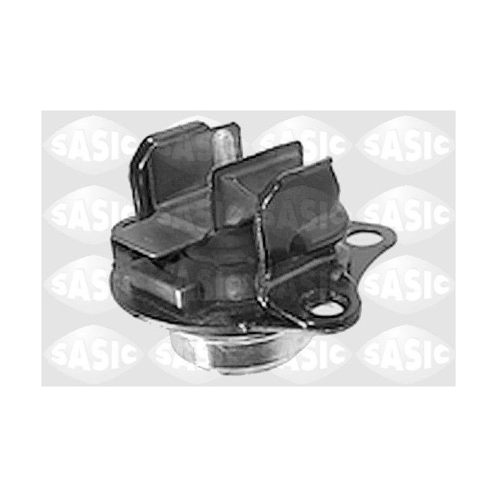 Variklio montavimas SASIC 4001737