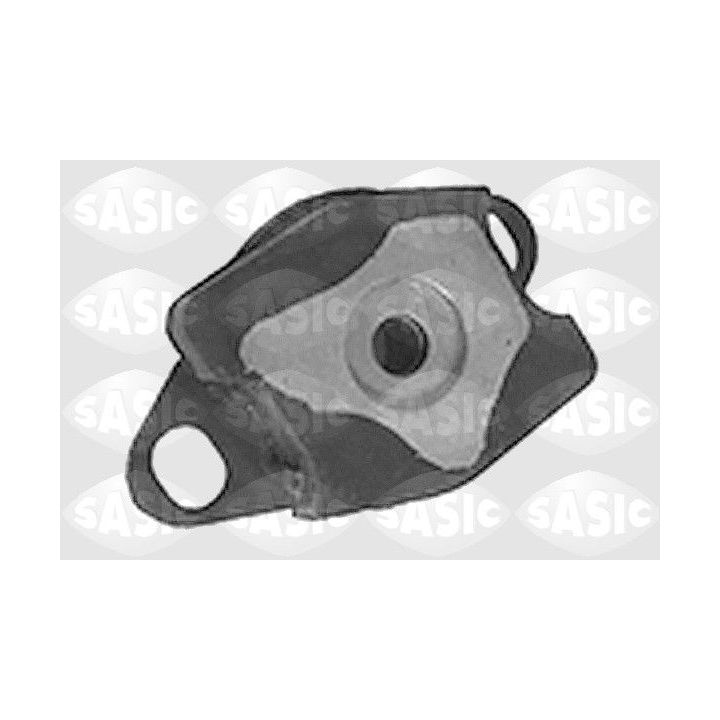 Variklio montavimas SASIC 4001748