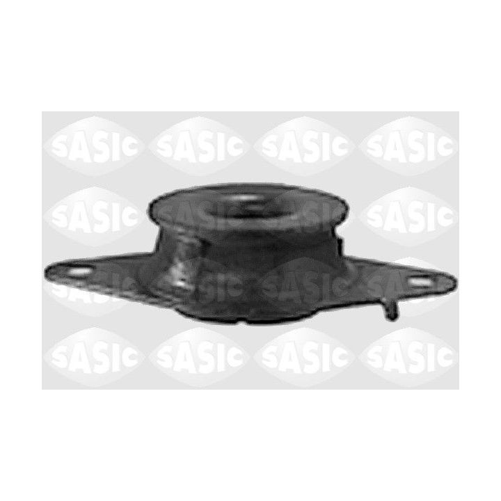 Variklio montavimas SASIC 4001749