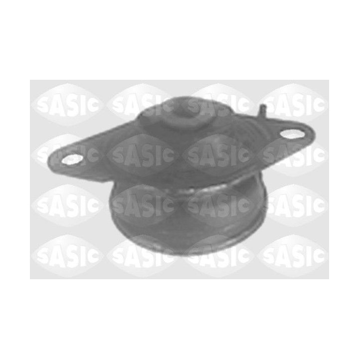 Variklio montavimas SASIC 4001752