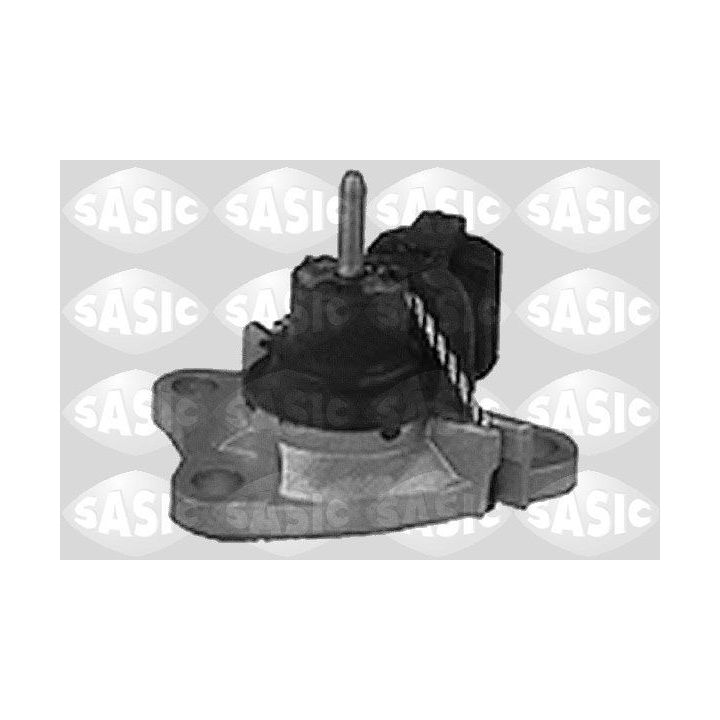 Variklio montavimas SASIC 4001772
