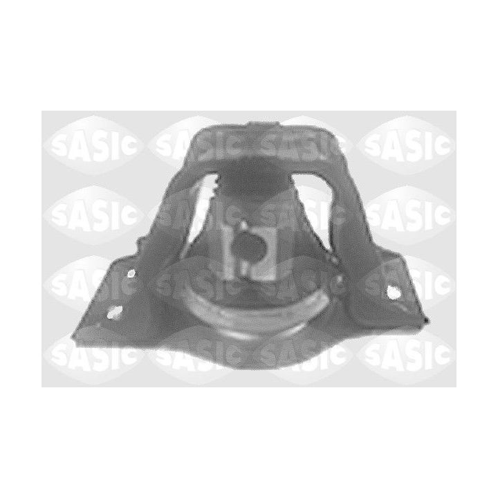 Variklio montavimas SASIC 4001789