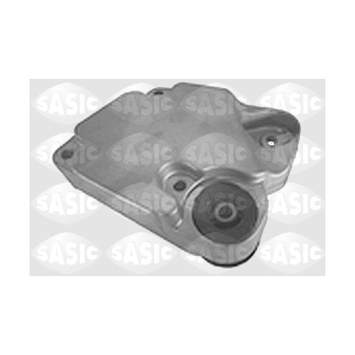 Variklio montavimas SASIC 4001794