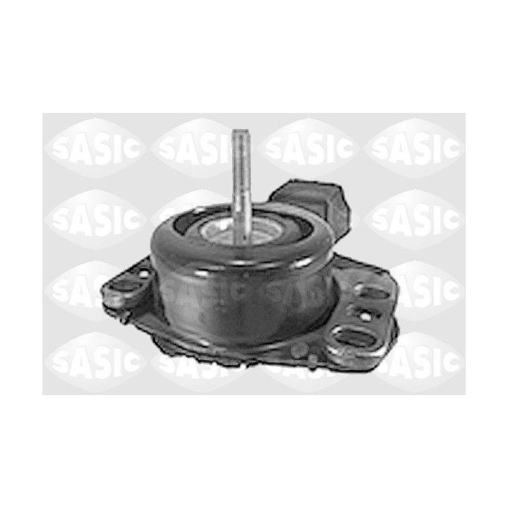 Variklio montavimas SASIC 4001798