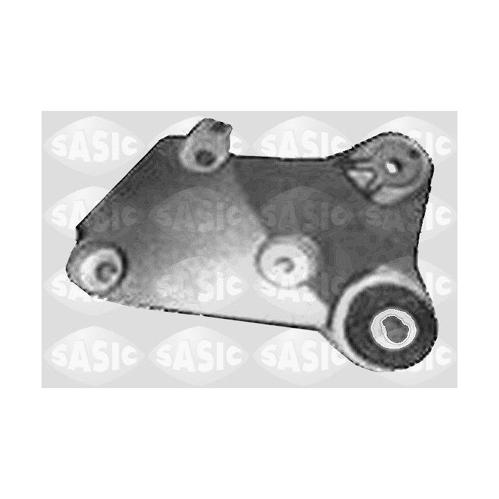 Variklio montavimas SASIC 4001817