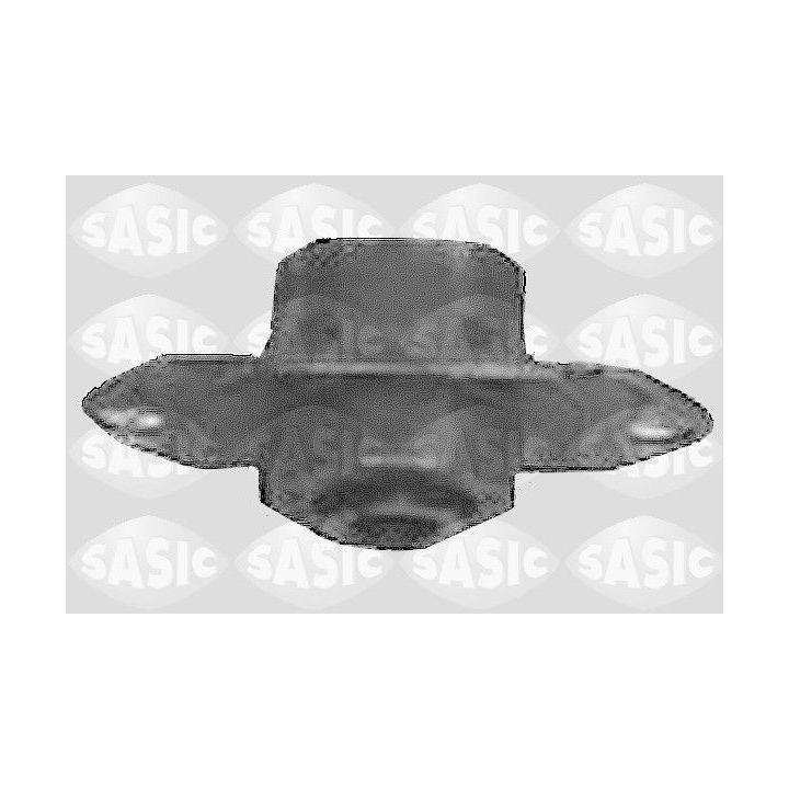 Variklio montavimas SASIC 4001823