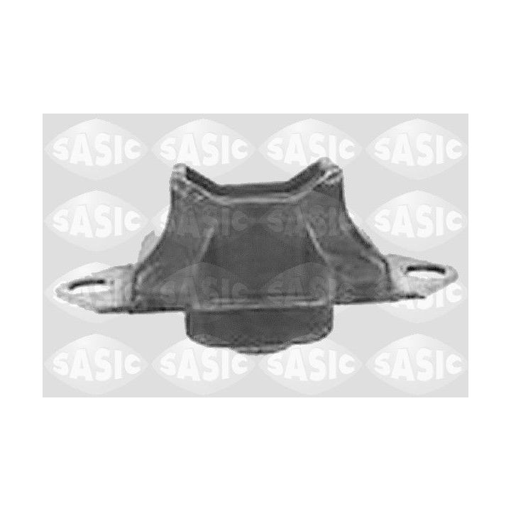 Variklio montavimas SASIC 4001826
