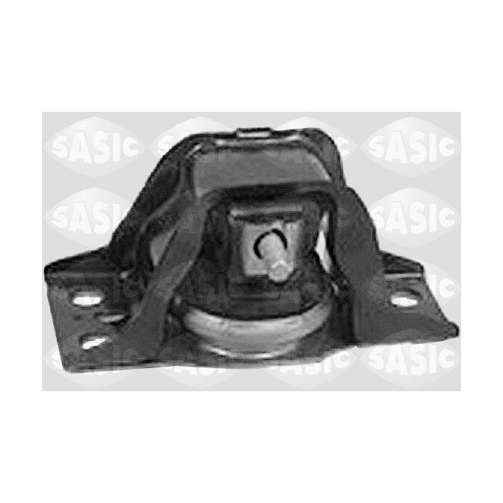 Variklio montavimas SASIC 4001828
