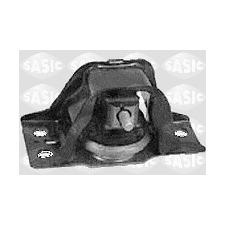 Variklio montavimas SASIC 4001829