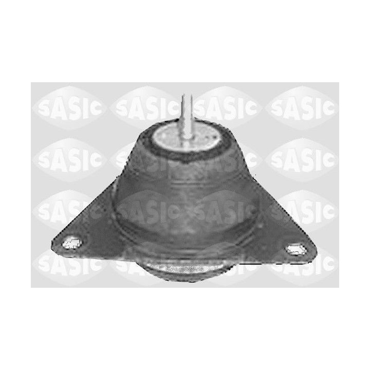 Variklio montavimas SASIC 4001830