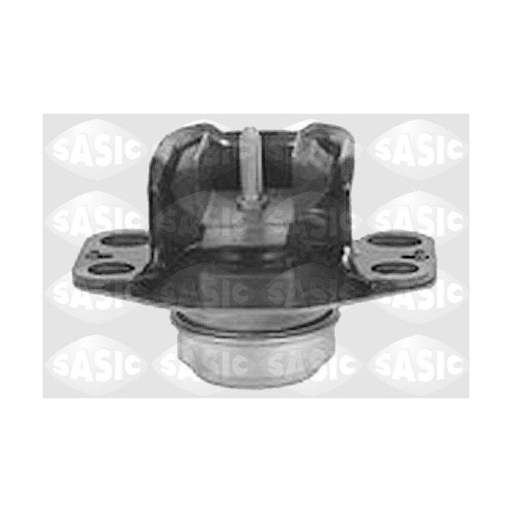 Variklio montavimas SASIC 4001835