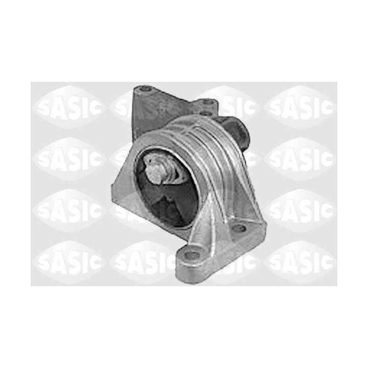 Variklio montavimas SASIC 8021561