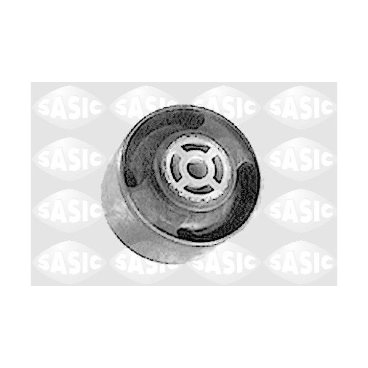 Variklio montavimas SASIC 8091161