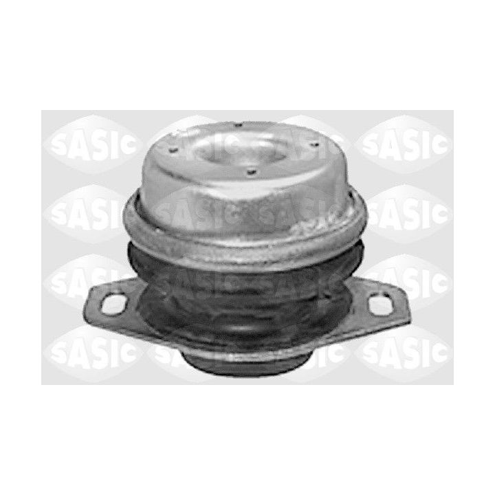 Variklio montavimas SASIC 8271161