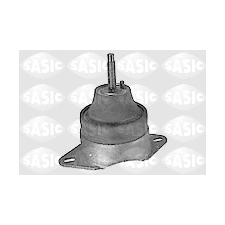 Variklio montavimas SASIC 8271221
