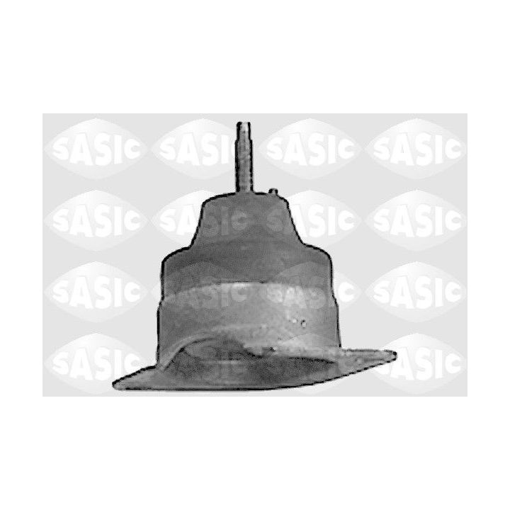 Variklio montavimas SASIC 8271261