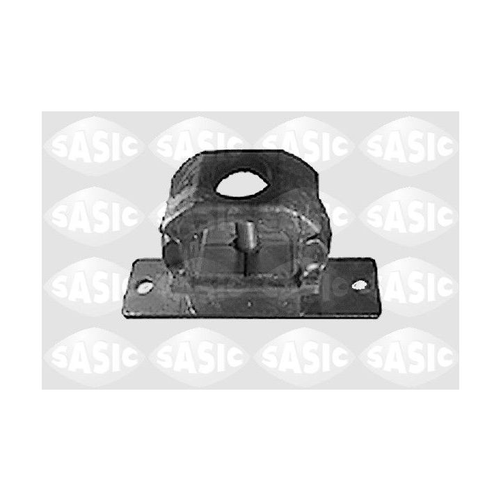 Variklio montavimas SASIC 8431801