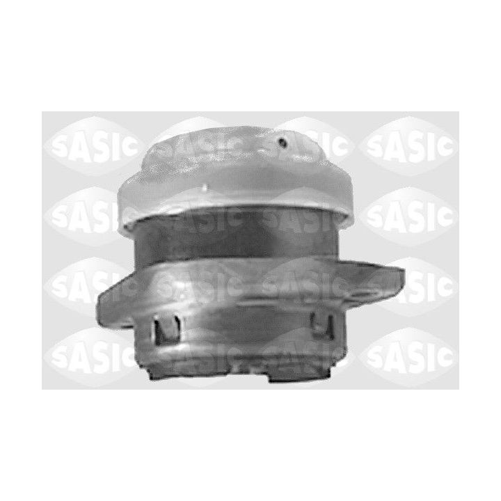 Variklio montavimas SASIC 8441601