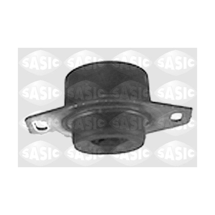 Variklio montavimas SASIC 8441681