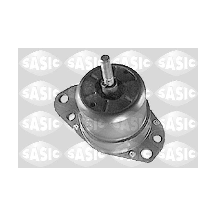 Variklio montavimas SASIC 9001310