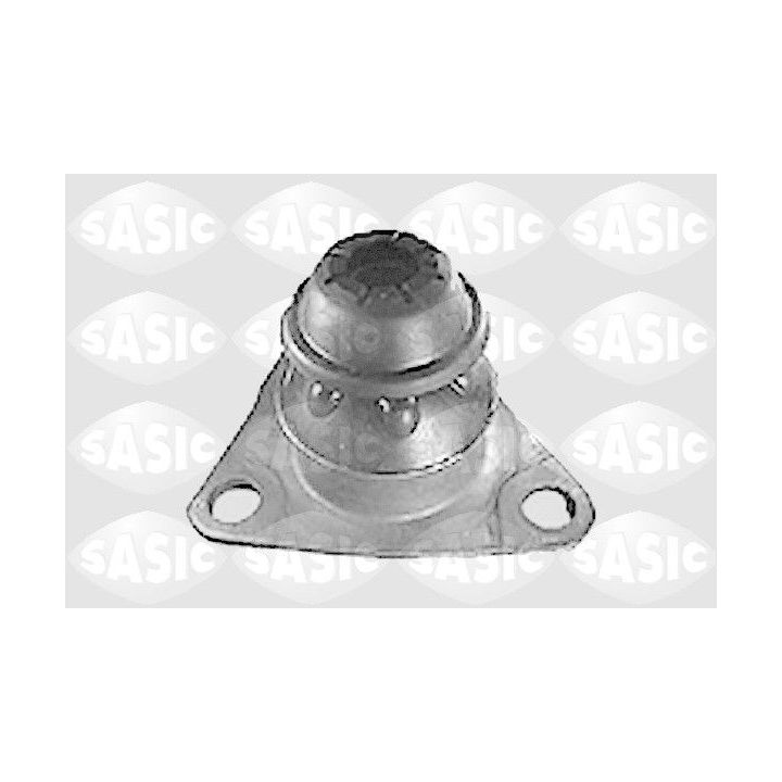 Variklio montavimas SASIC 9001326
