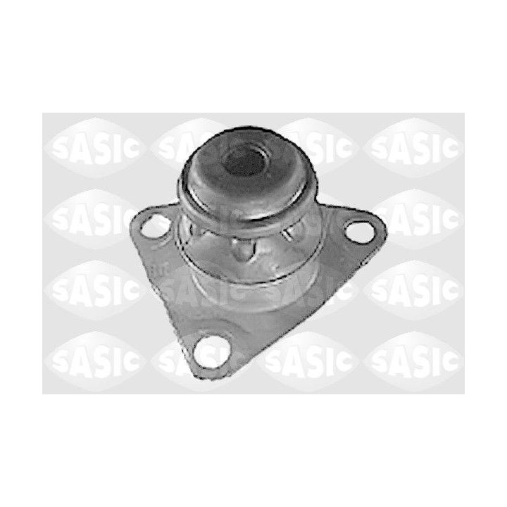 Variklio montavimas SASIC 9001329