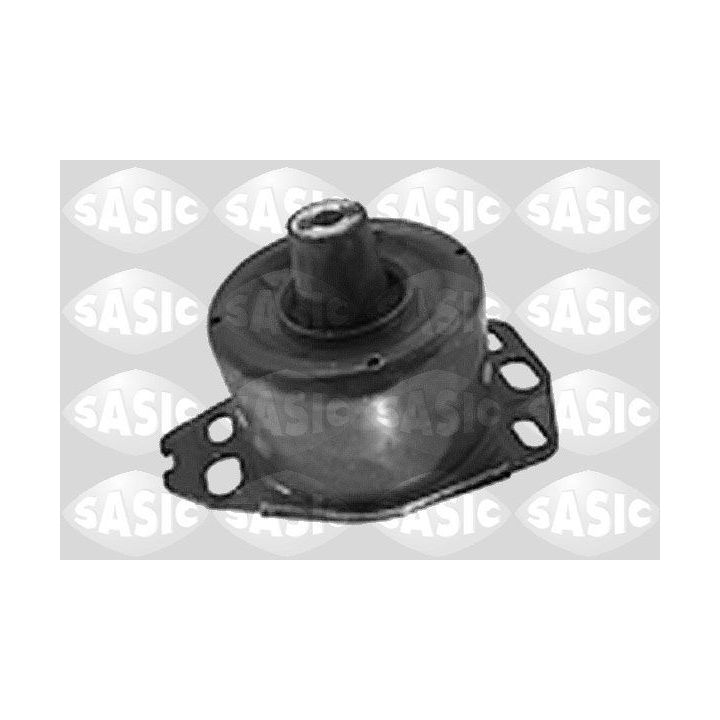 Variklio montavimas SASIC 9001487
