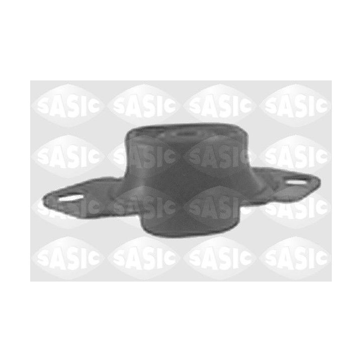 Variklio montavimas SASIC 9001923