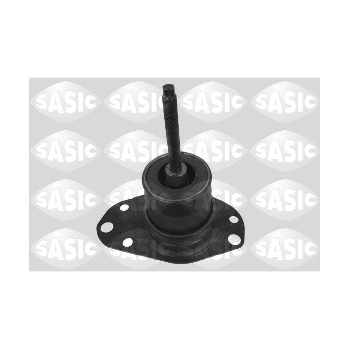 Variklio montavimas SASIC 9002404