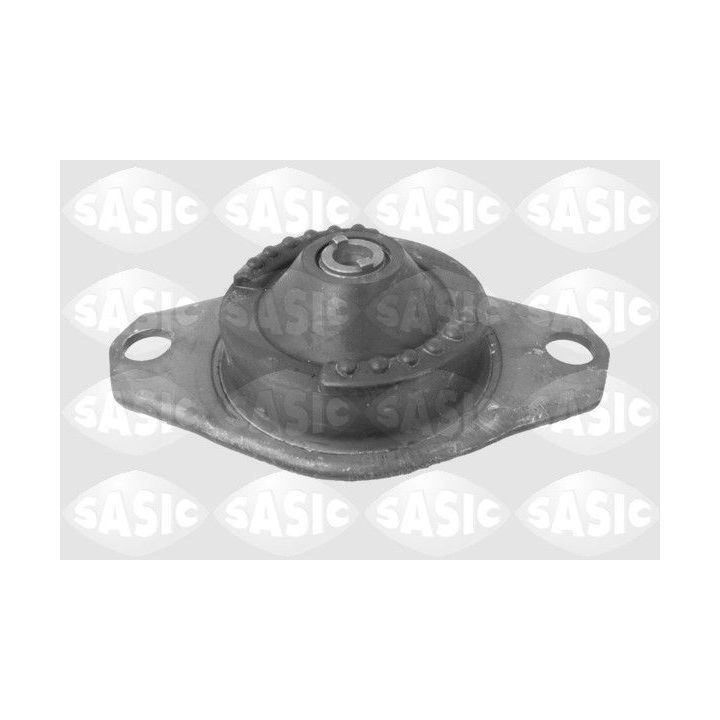 Variklio montavimas SASIC 9002420
