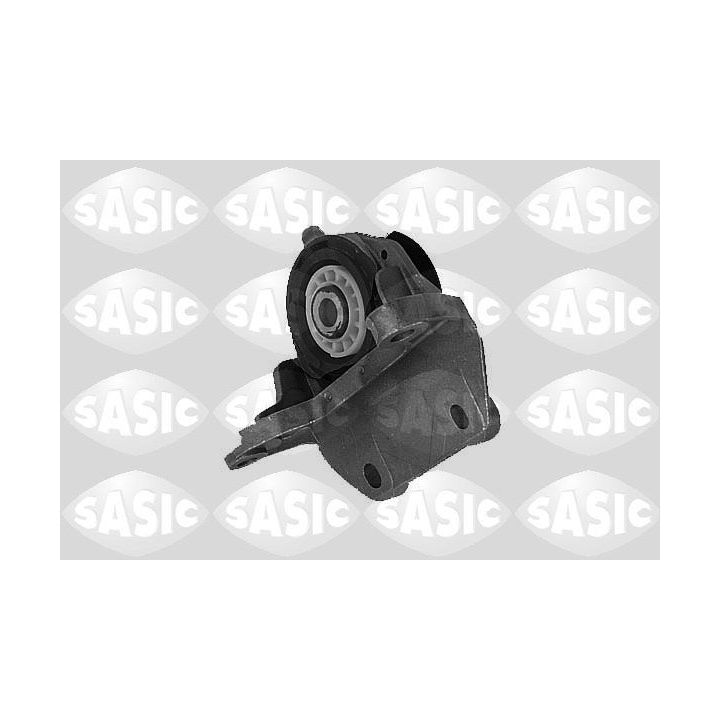 Variklio montavimas SASIC 9002426