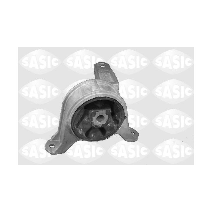 Variklio montavimas SASIC 9002471