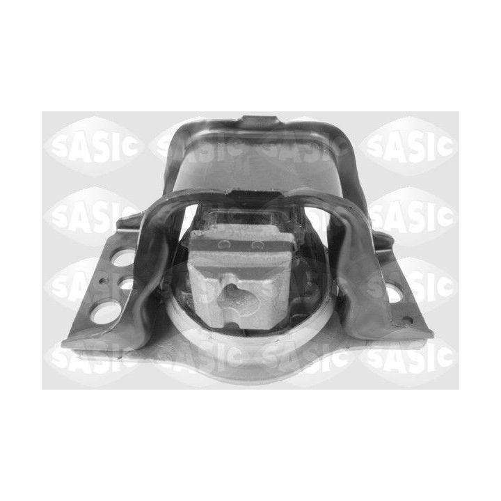 Variklio montavimas SASIC 9002535