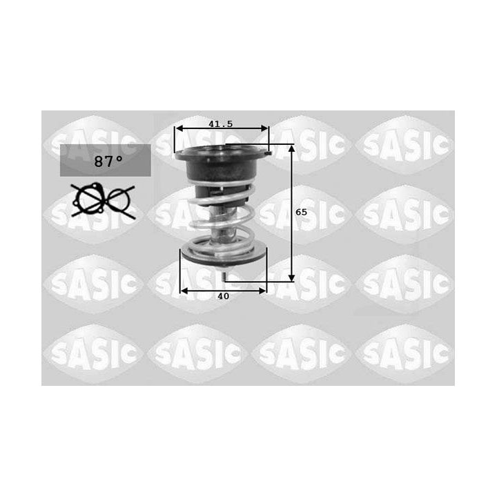 Termostatas, aušinimo skystis SASIC 3306109