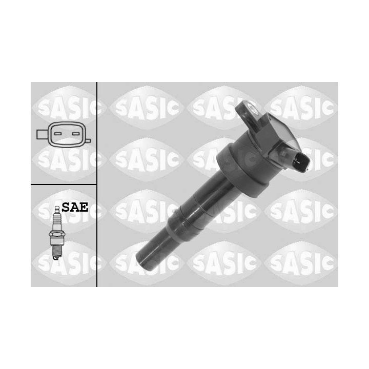 Ritė, uždegimas SASIC 9206072