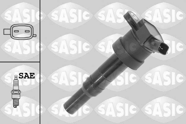 Ritė, uždegimas SASIC 9206072