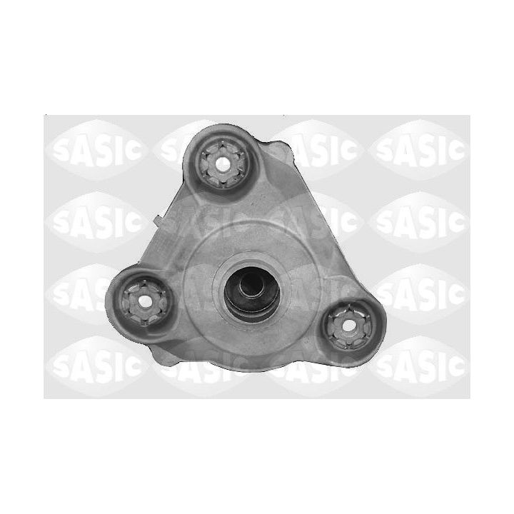 Pakabos statramsčio atraminis guolis SASIC 0385895