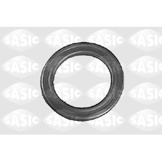 Frikcinis guolis, pakabos statramsčio atramos montavimas SASIC 0355175