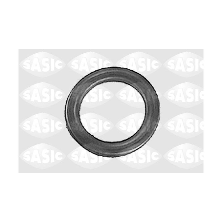 Frikcinis guolis, pakabos statramsčio atramos montavimas SASIC 0355175