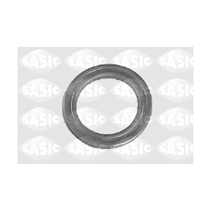 Frikcinis guolis, pakabos statramsčio atramos montavimas SASIC 0355395