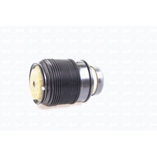 Pneumatinė spyruoklė, pakaba IPD 43-2036