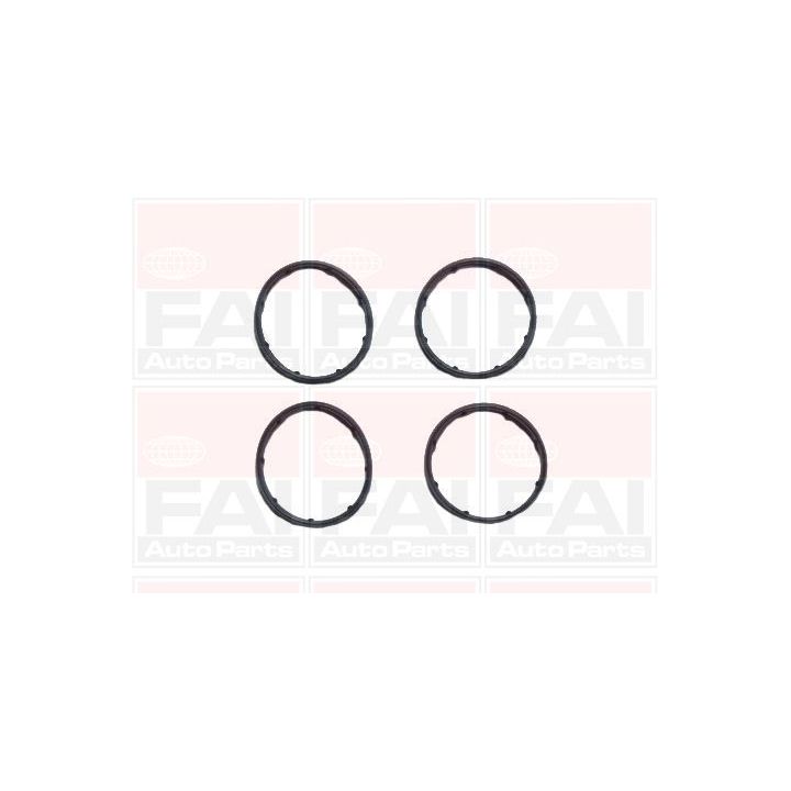 Tarpiklių rinkinys, įsiurbimo kolektorius FAI AutoParts IM1051B