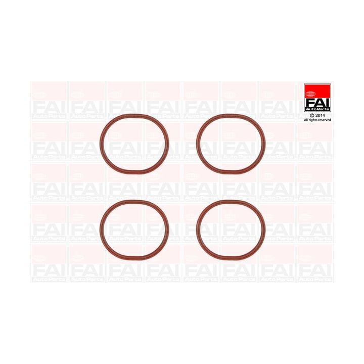 Tarpiklių rinkinys, įsiurbimo kolektorius FAI AutoParts IM1357