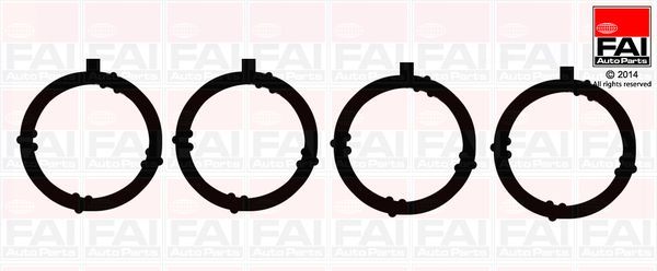 Tarpiklių rinkinys, įsiurbimo kolektorius FAI AutoParts IM1415