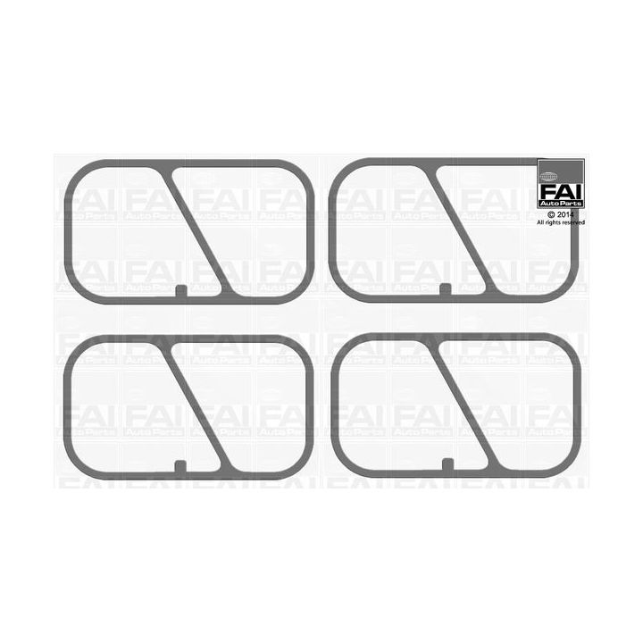 Tarpiklių rinkinys, įsiurbimo kolektorius FAI AutoParts IM1619