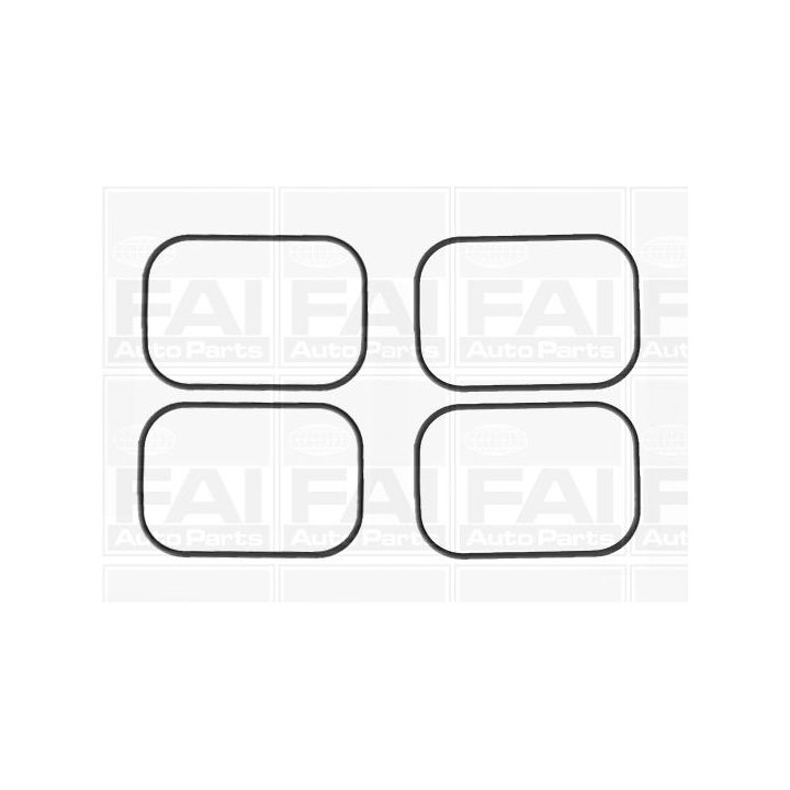 Tarpiklių rinkinys, įsiurbimo kolektorius FAI AutoParts IM1638K