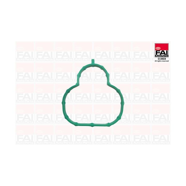 Tarpiklių rinkinys, įsiurbimo kolektorius FAI AutoParts IM2135