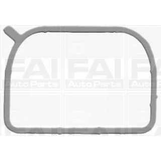 Tarpiklių rinkinys, įsiurbimo kolektorius FAI AutoParts IM2195A