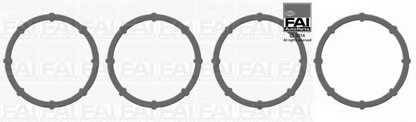 Tarpiklių rinkinys, įsiurbimo kolektorius FAI AutoParts IM896K