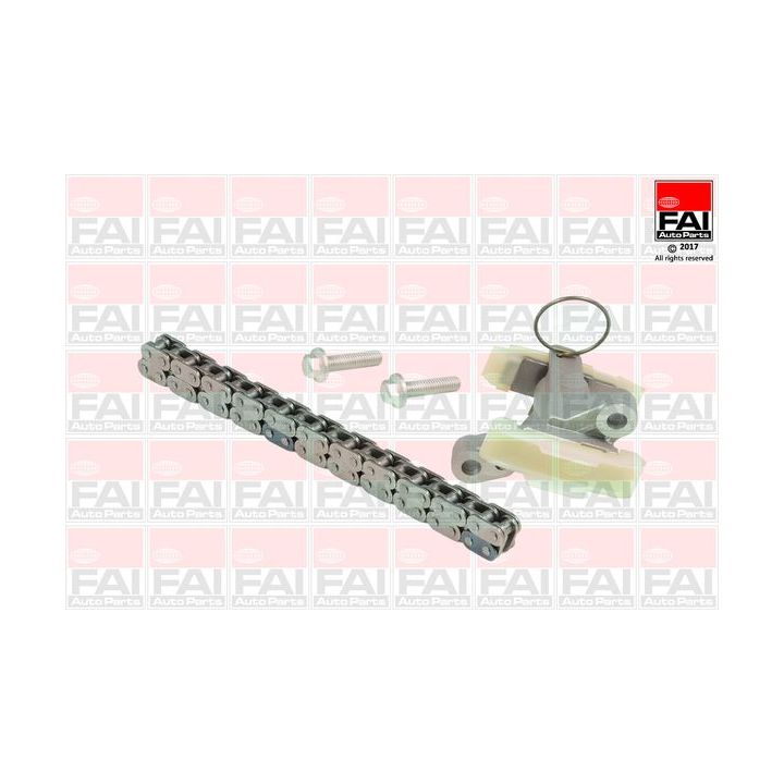 Paskirstymo grandinės komplektas FAI AutoParts TCK262NG